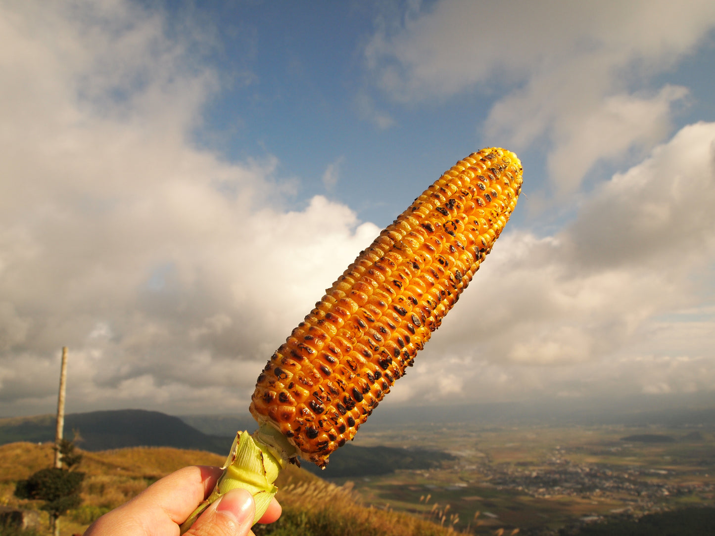 わくわくコーン