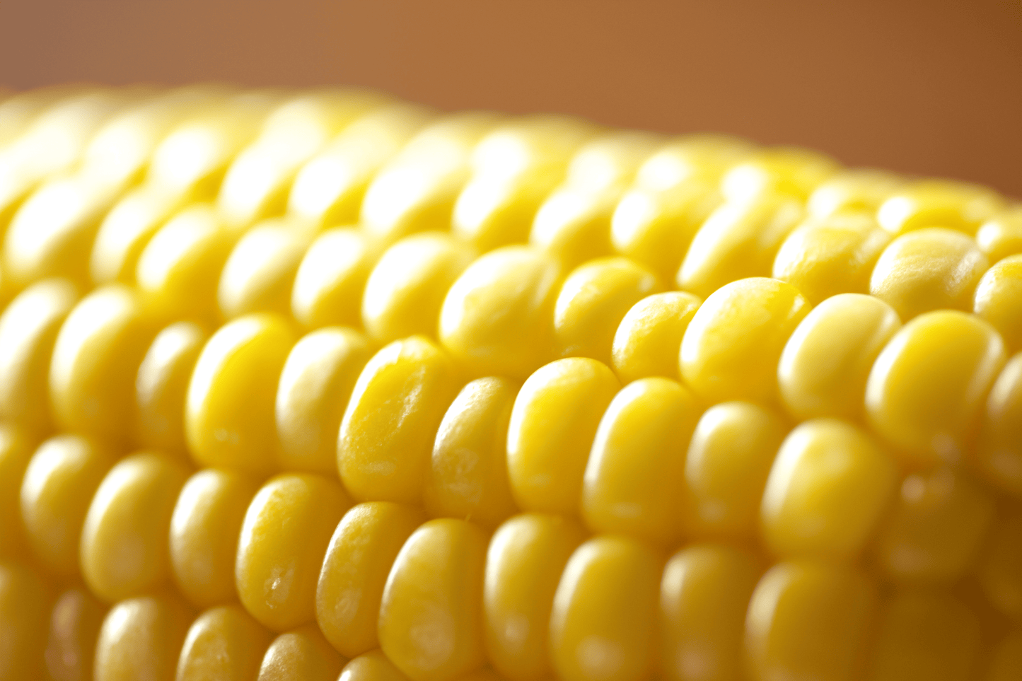 5月 わくわくコーン