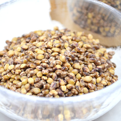 【霜島農園】白もち麦＆紫もち麦