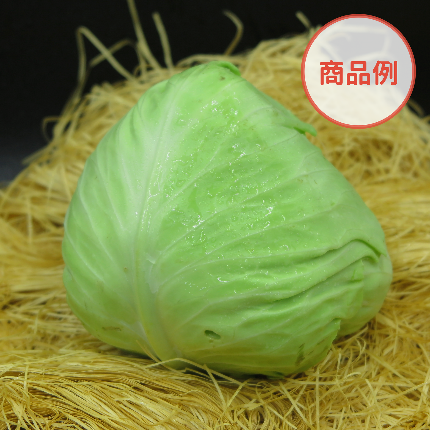 綾町の有機野菜セット