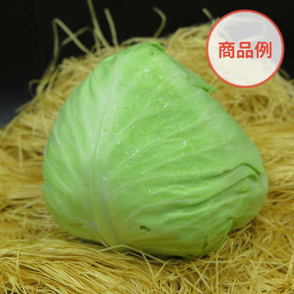 綾町の有機野菜セット