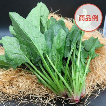 綾町の有機野菜セット