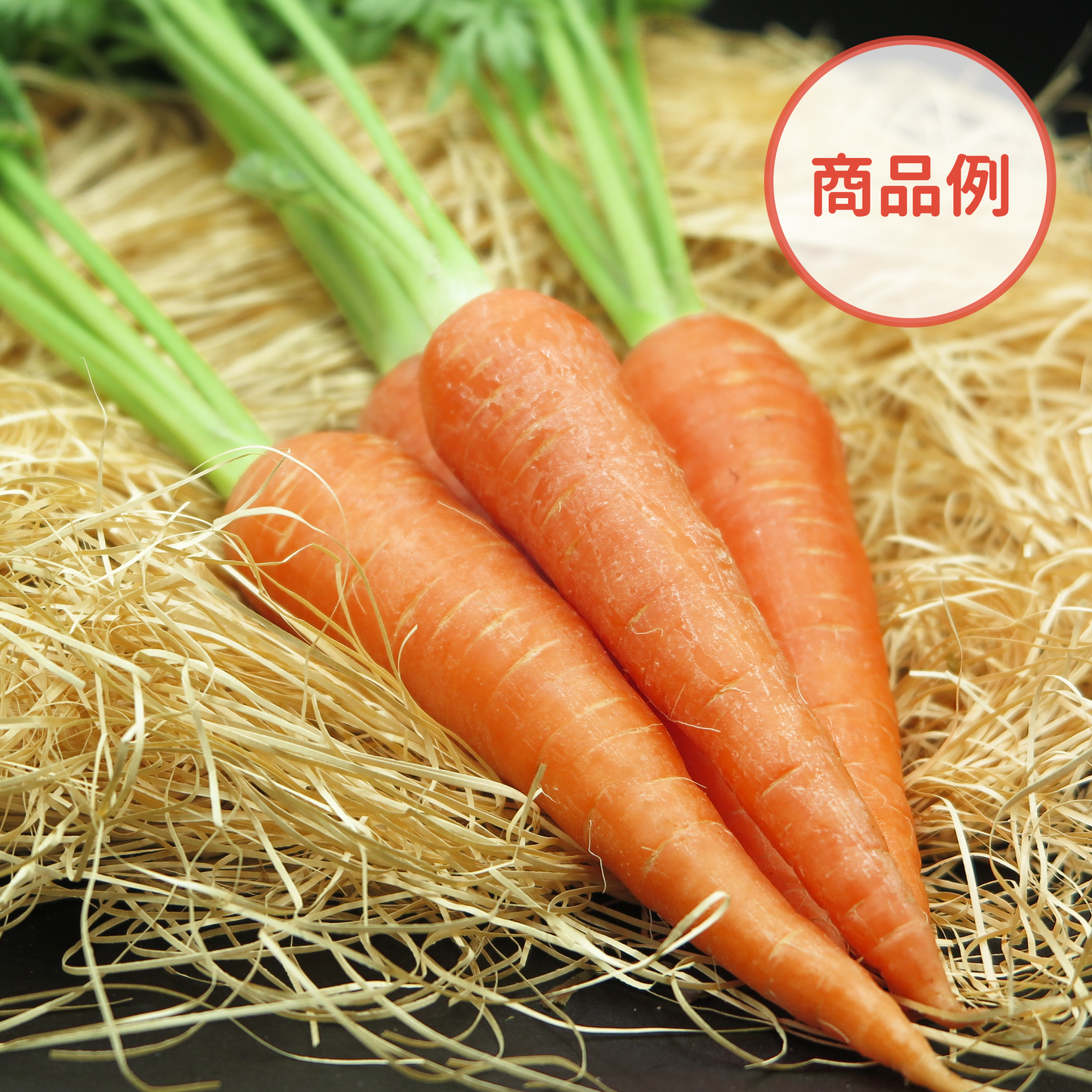 綾町の有機野菜セット