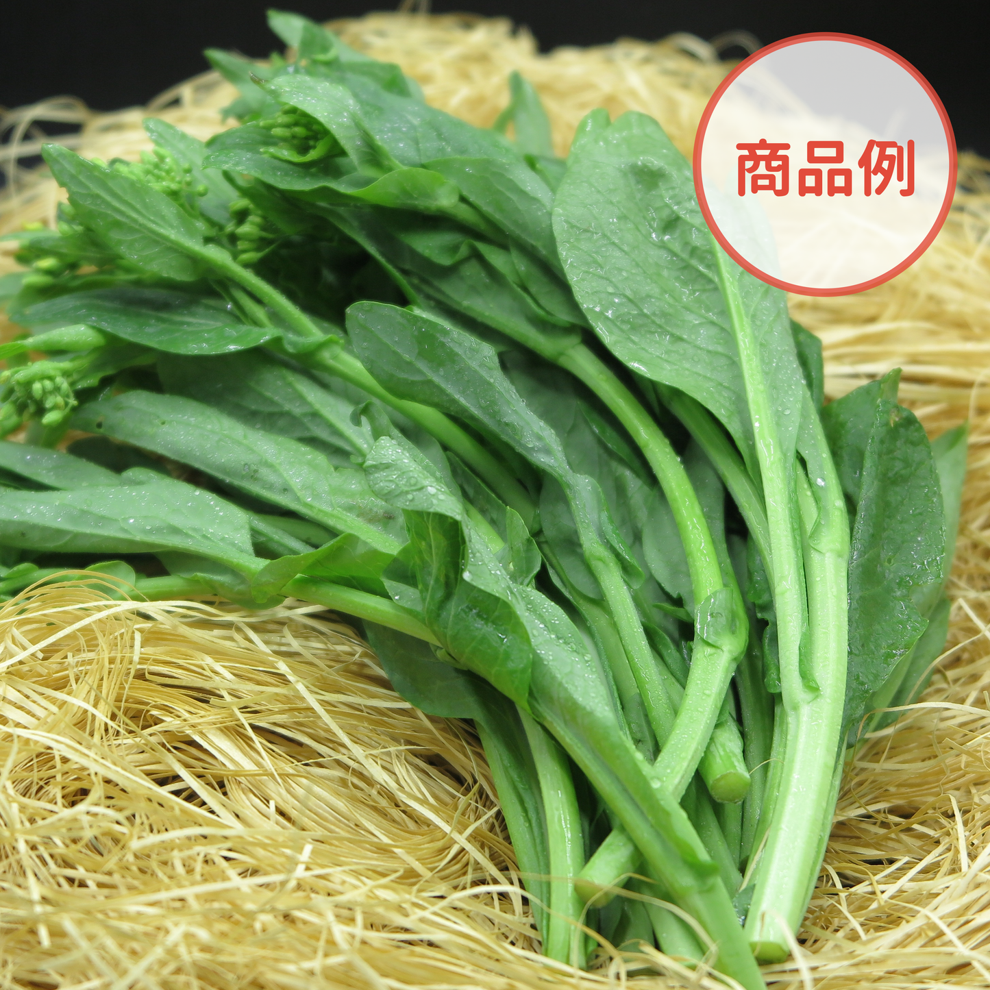 綾町の有機野菜セット