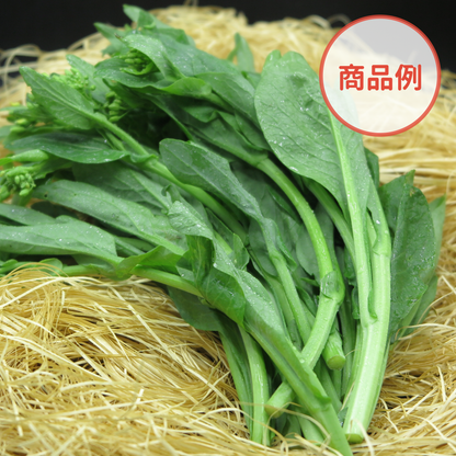 綾町の有機野菜セット