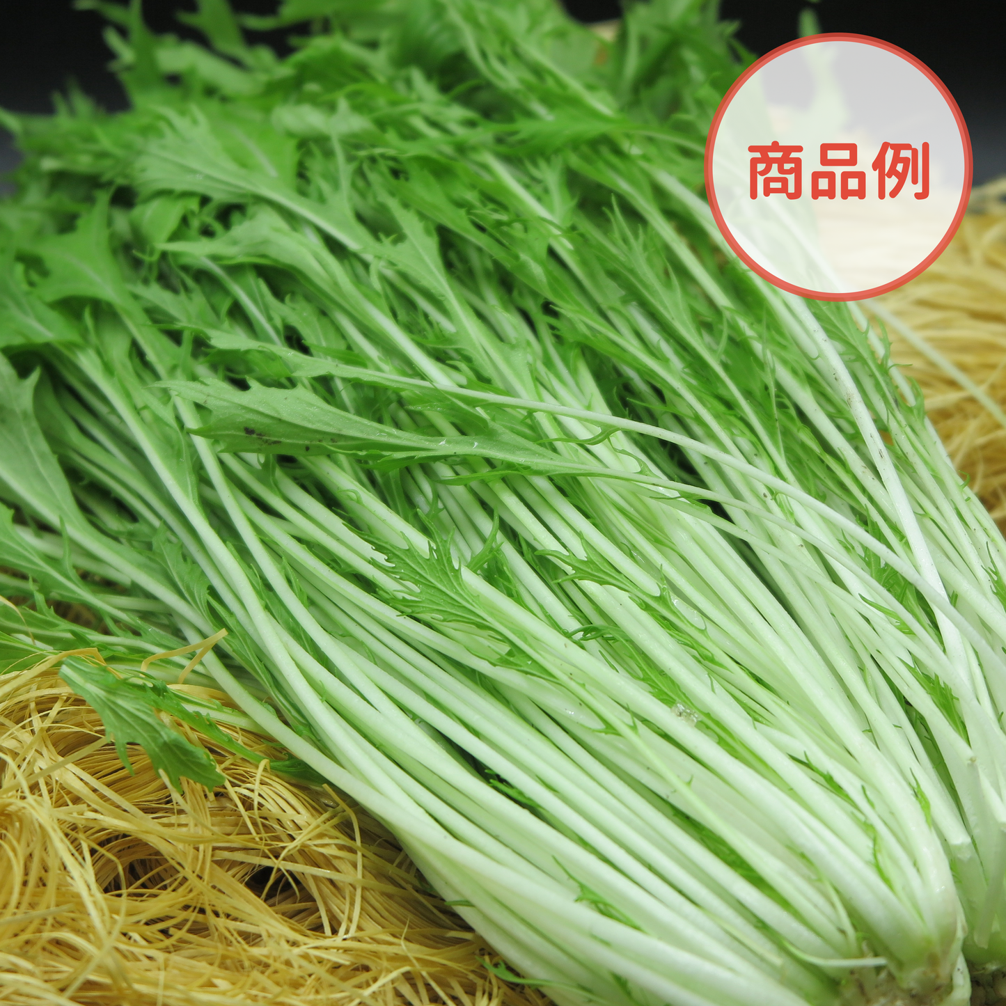 綾町の有機野菜セット