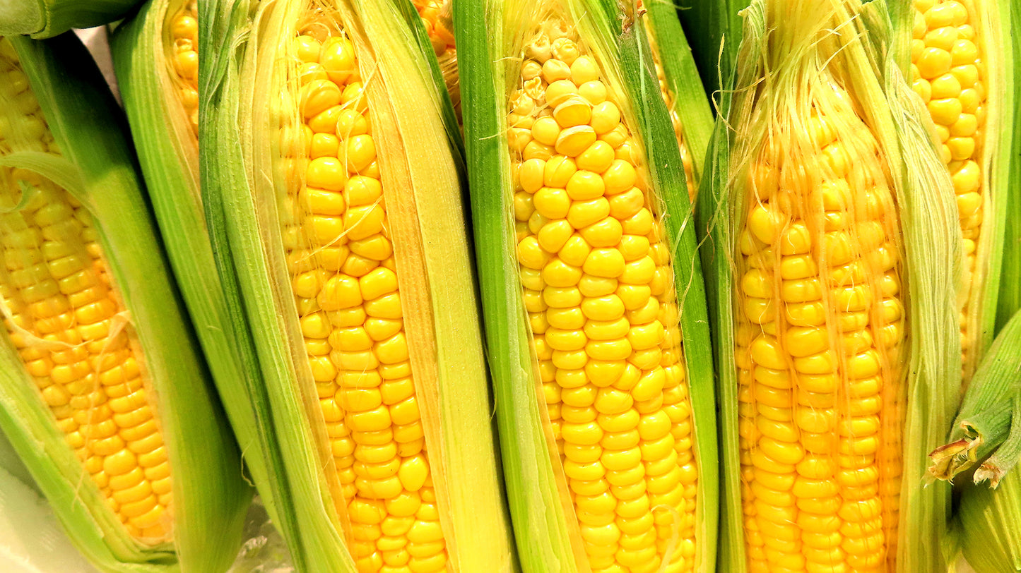 わくわくコーン