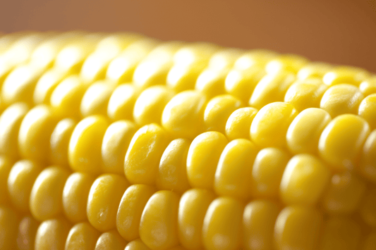 5月　わくわくコーン