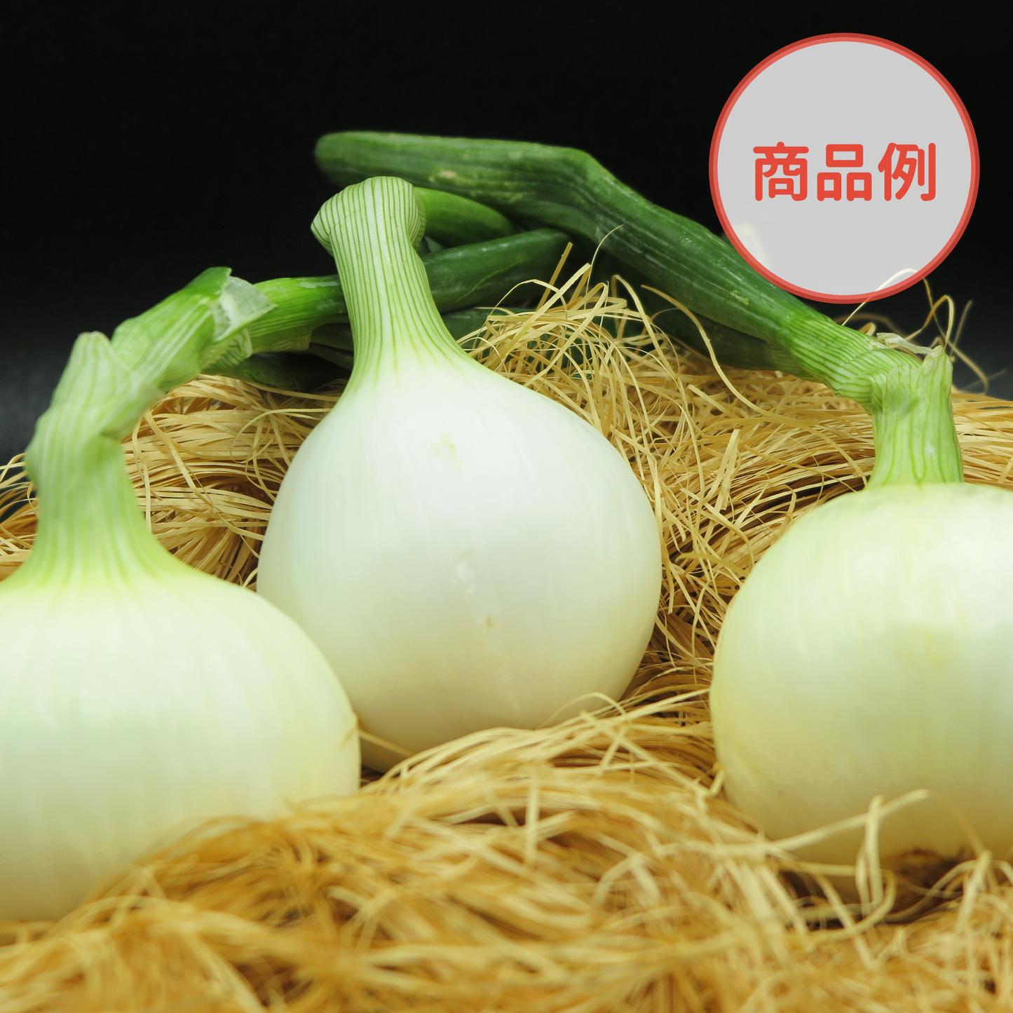 綾町の有機野菜セット