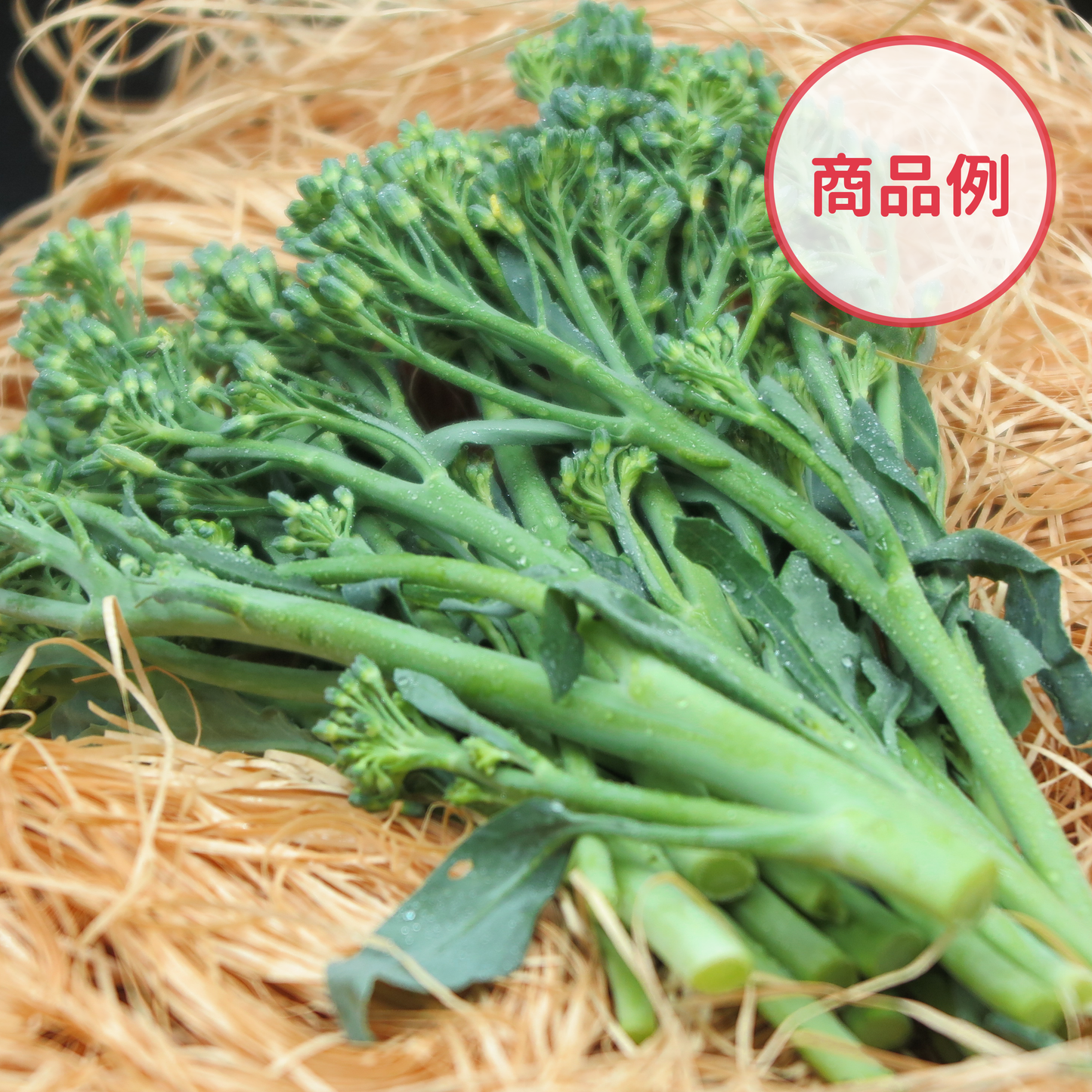綾町の有機野菜セット