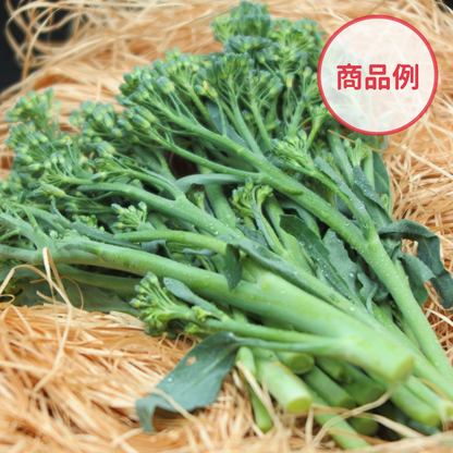 綾町の有機野菜セット