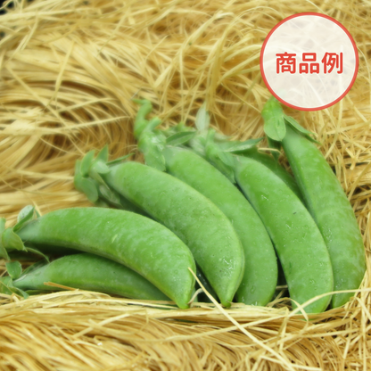 綾町の有機野菜セット