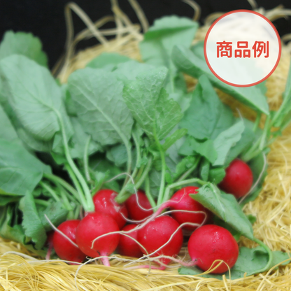 綾町の有機野菜セット