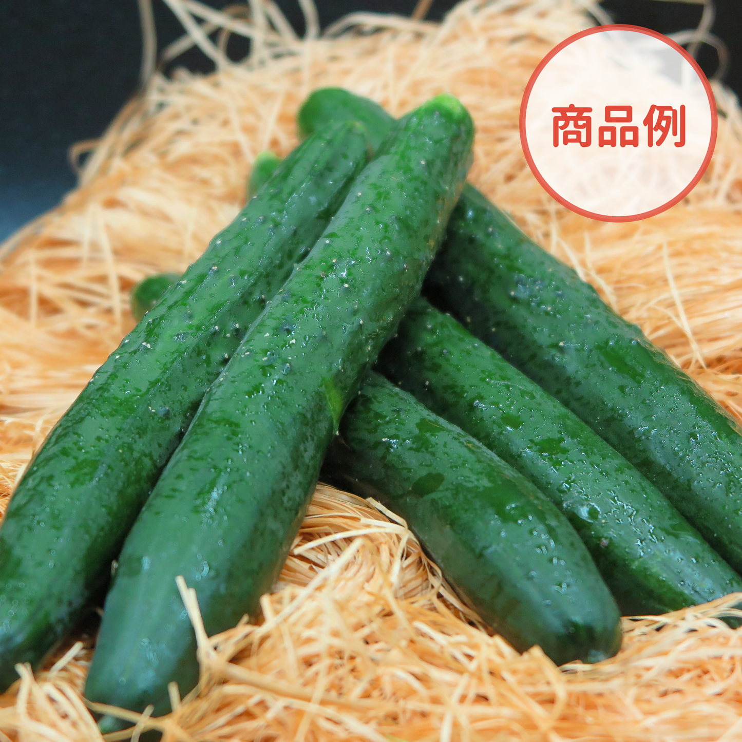 綾町の有機野菜セット